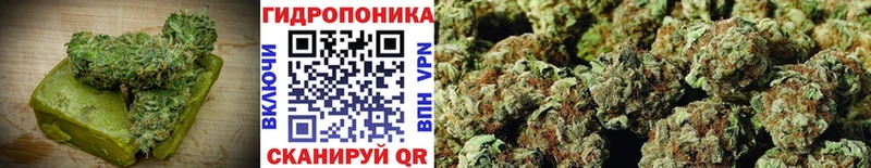 Купить закладки  Отрадная  Еда ТГК конопля 