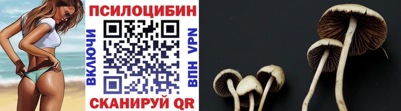 Купить закладки  Отрадная  Псилоцибиновые грибы Magic Shrooms 